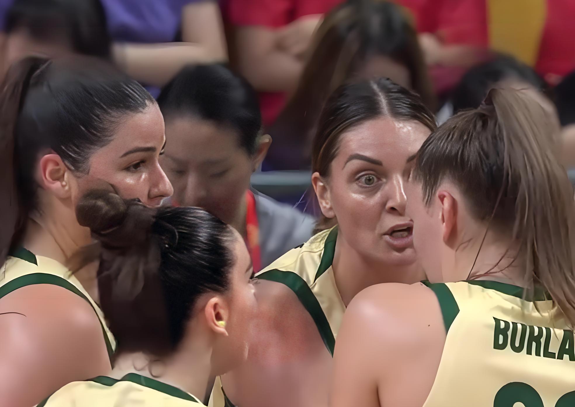 爱游戏体育-布莱顿为什么叫海鸥